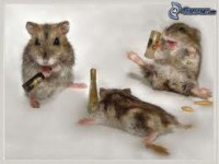 /album/fotogaleria/images-jpg1/